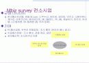 인터넷 비즈니스의 현황 및 문제점 7페이지