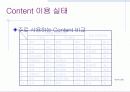 인터넷 비즈니스의 현황 및 문제점 10페이지