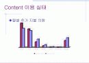 인터넷 비즈니스의 현황 및 문제점 11페이지