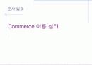 인터넷 비즈니스의 현황 및 문제점 16페이지