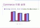 인터넷 비즈니스의 현황 및 문제점 17페이지