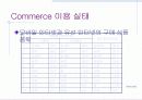 인터넷 비즈니스의 현황 및 문제점 19페이지