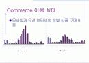 인터넷 비즈니스의 현황 및 문제점 21페이지
