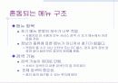 인터넷 비즈니스의 현황 및 문제점 28페이지