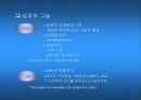 글로벌 시대의 생존과 경쟁력 14페이지