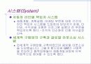 자동차 산업분석 및 대표적인 자동차 기업의 비교경영(7S, 홉스테드 모형) 28페이지