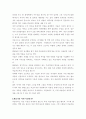전시기획안  12페이지