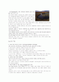 우포 답사 7페이지