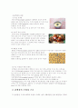 단백질의 모든 것 5페이지
