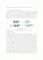 단백질의 모든 것 8페이지