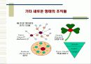 미래기업조직 11페이지