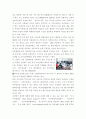 북한 인터넷 사업 3페이지