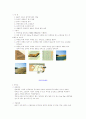 사면녹화 13페이지