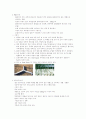 사면녹화 16페이지