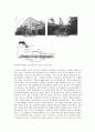 옥상정원 18페이지
