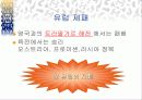 나폴레옹과 유럽 3페이지