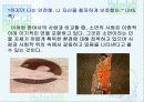 그녀의 여자 18페이지