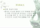 르네상스 3페이지