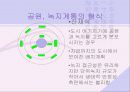 도시의 공원과 녹지계획 19페이지