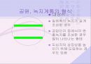 도시의 공원과 녹지계획 20페이지