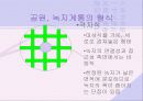 도시의 공원과 녹지계획 21페이지