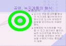 도시의 공원과 녹지계획 22페이지