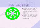 도시의 공원과 녹지계획 24페이지