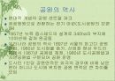 공원에 대한 이해 4페이지