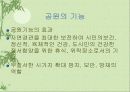 공원에 대한 이해 5페이지
