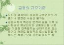 공원에 대한 이해 6페이지