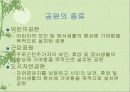 공원에 대한 이해 8페이지