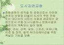 공원에 대한 이해 12페이지