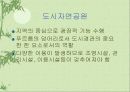 공원에 대한 이해 13페이지