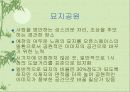 공원에 대한 이해 14페이지
