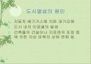 공원에 대한 이해 20페이지