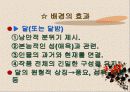 메밀꽃 필 무렵 4페이지