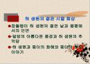 메밀꽃 필 무렵 9페이지