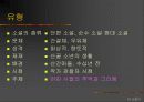 소설의 세계 17페이지
