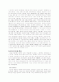 전족의 역사 - 중국여성의 슬픔 4페이지