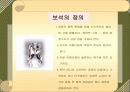 보석에 관해 2페이지