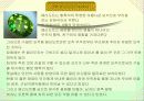 보석에 관해 14페이지