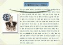 보석에 관해 18페이지