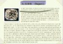 보석에 관해 22페이지