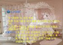 노인여가  프로그램 7페이지