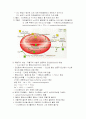 적혈구의 완충기능 5페이지