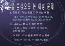 페미니즘과 문학(공지영) 11페이지