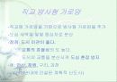 도시의 평면 형태 12페이지