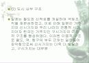 광복 이전의 도시의 발달 13페이지