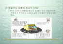 유통업체의 SCM 11페이지