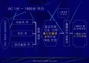 스위스의 역사와 문화 5페이지